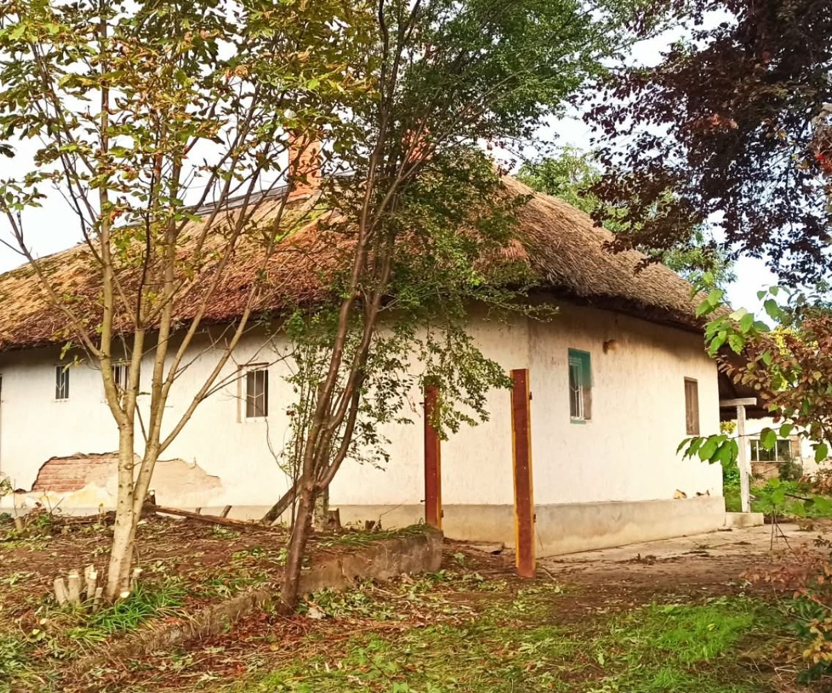 4c2eab78-9395-4469-b107-da1080d8b65c